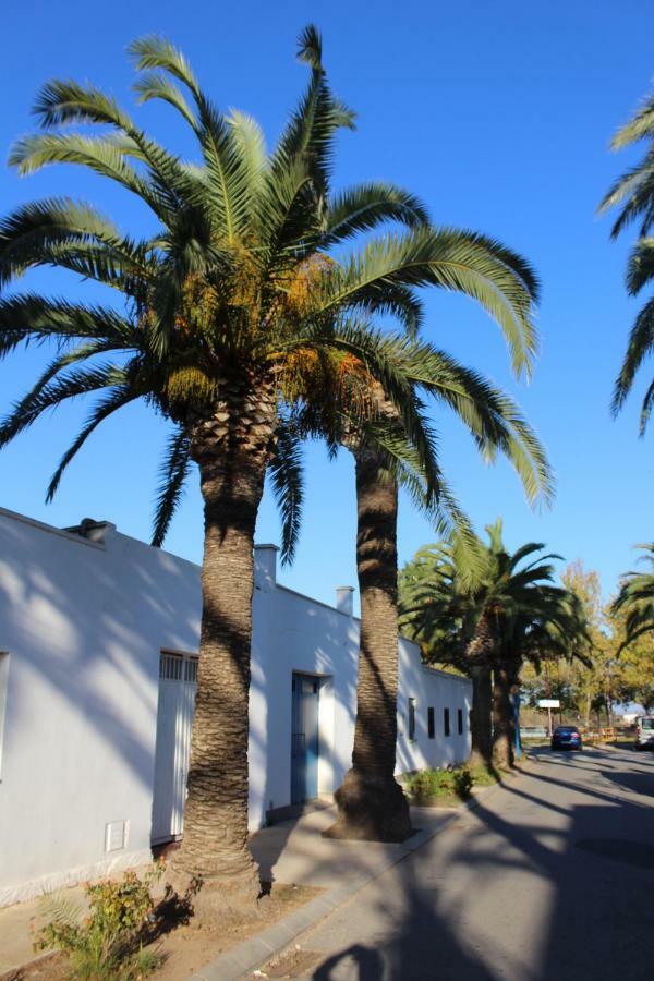 Lo Segador Guest House El Poblenou del Delta Exterior photo