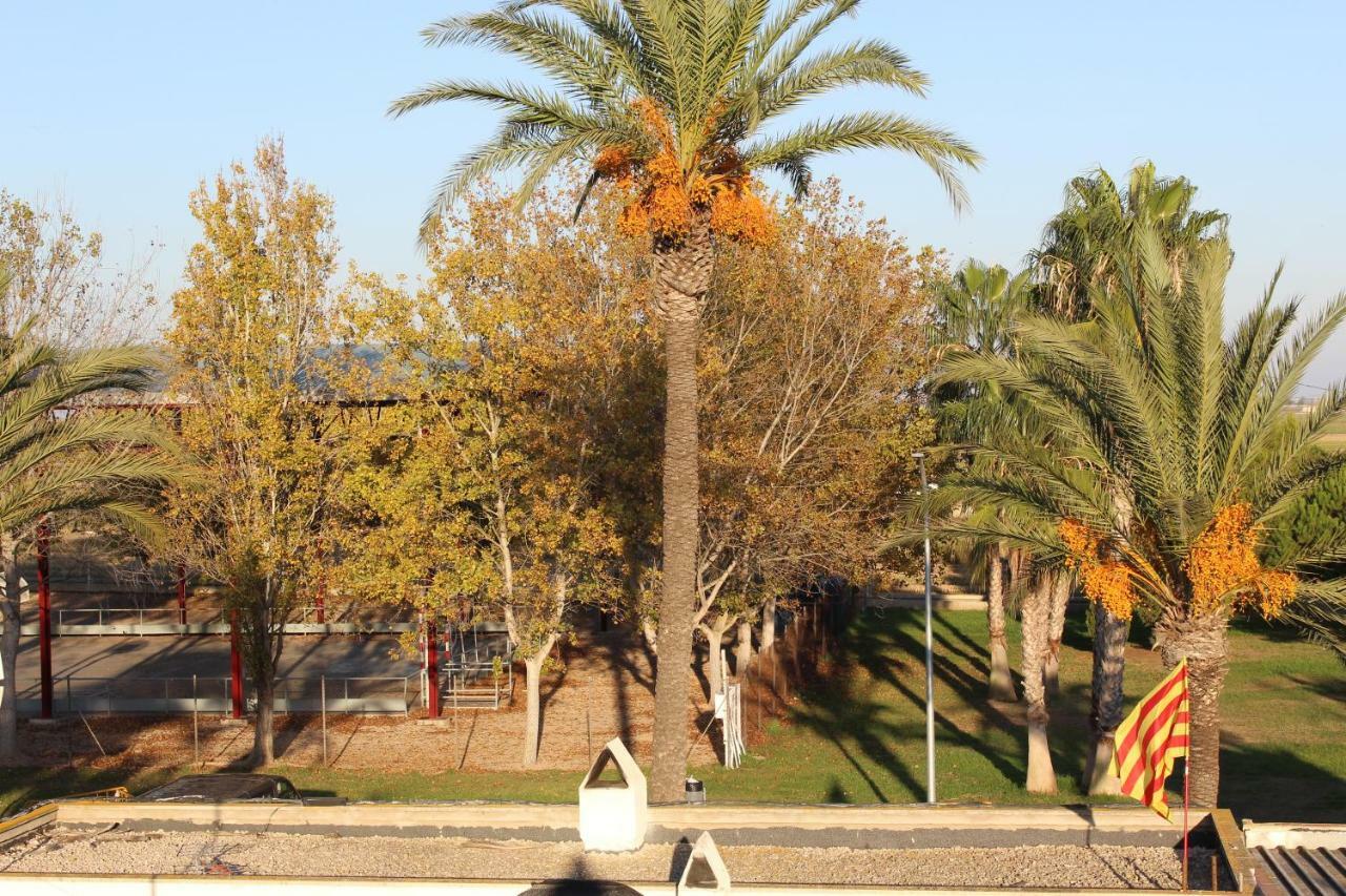 Lo Segador Guest House El Poblenou del Delta Exterior photo